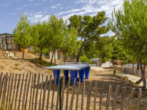 Camping Le Bois de Pins - Camping Pyrénées-Orientales - Image N°12